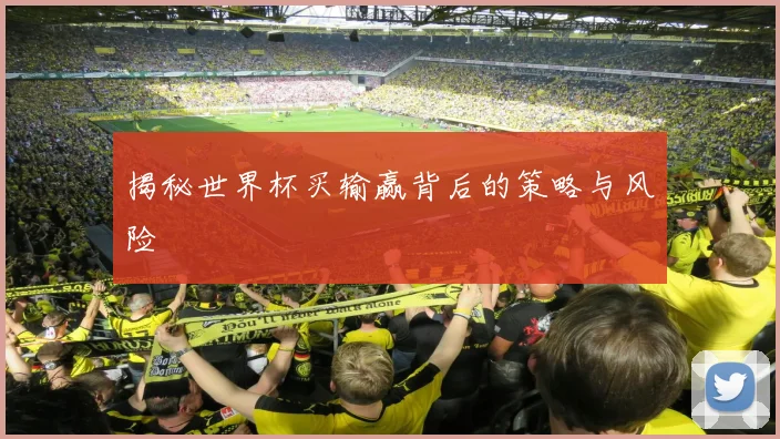 揭秘世界杯买输赢背后的策略与风险