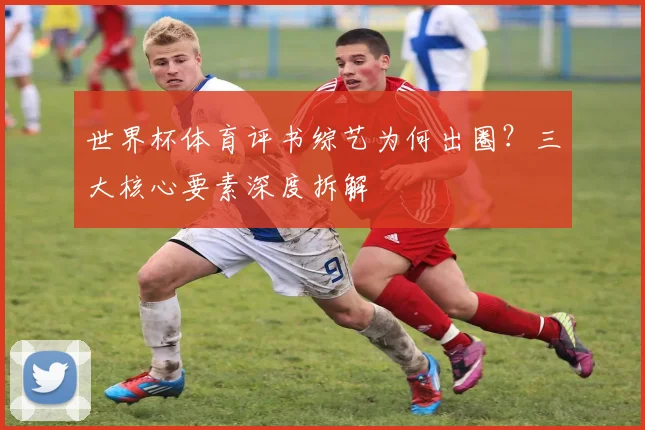 世界杯体育评书综艺为何出圈？三大核心要素深度拆解
