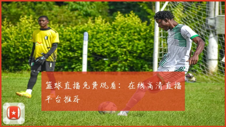 篮球直播免费观看：在线高清直播平台推荐