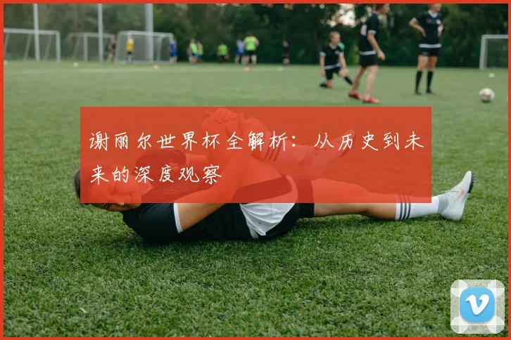 谢丽尔世界杯全解析：从历史到未来的深度观察