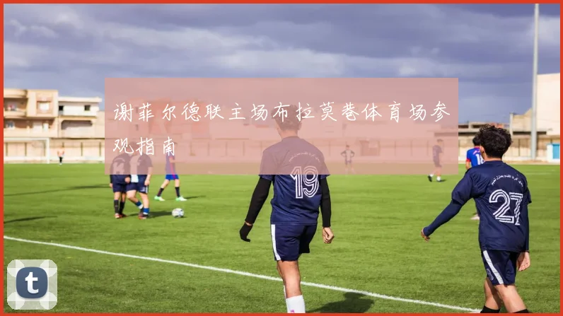 谢菲尔德联主场布拉莫巷体育场参观指南