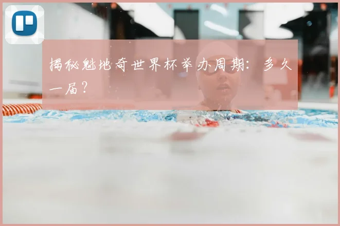 揭秘魁地奇世界杯举办周期：多久一届？