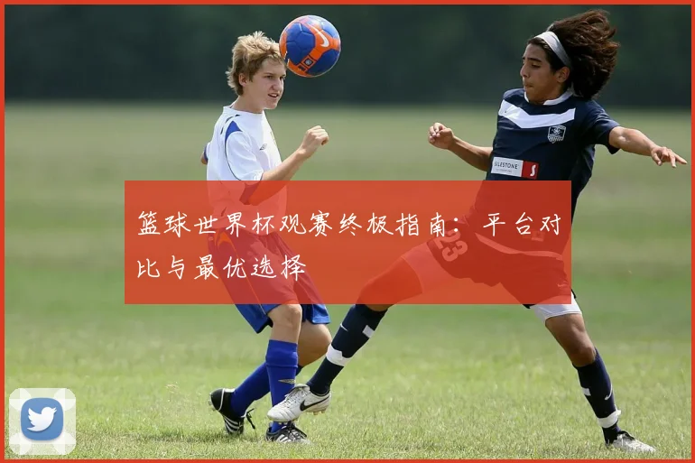 篮球世界杯观赛终极指南：平台对比与最优选择
