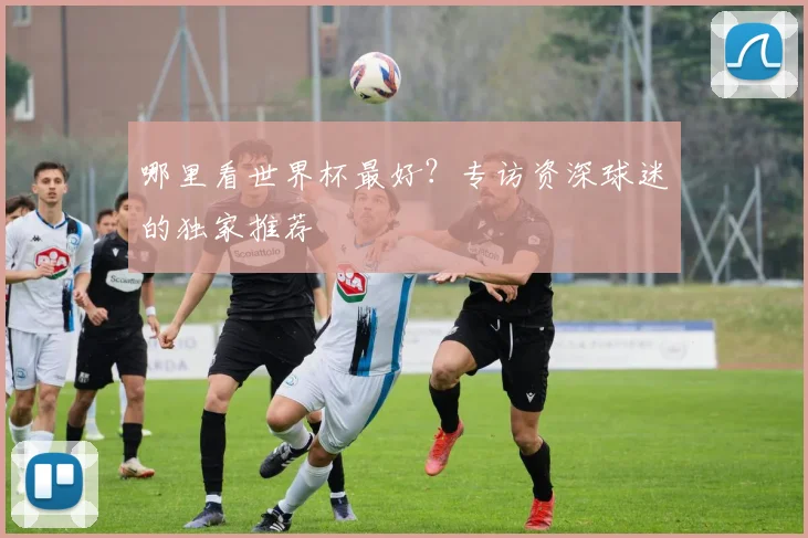 哪里看世界杯最好？专访资深球迷的独家推荐