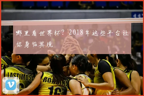 哪里看世界杯？2018年这些平台让你身临其境