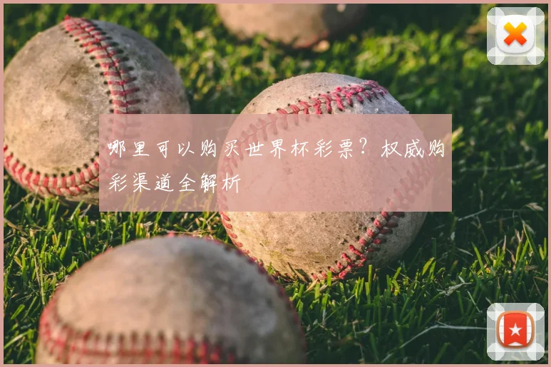 哪里可以购买世界杯彩票？权威购彩渠道全解析