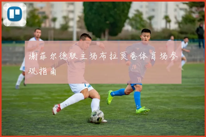 谢菲尔德联主场布拉莫巷体育场参观指南
