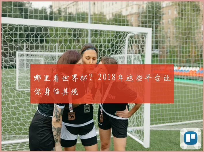 哪里看世界杯？2018年这些平台让你身临其境
