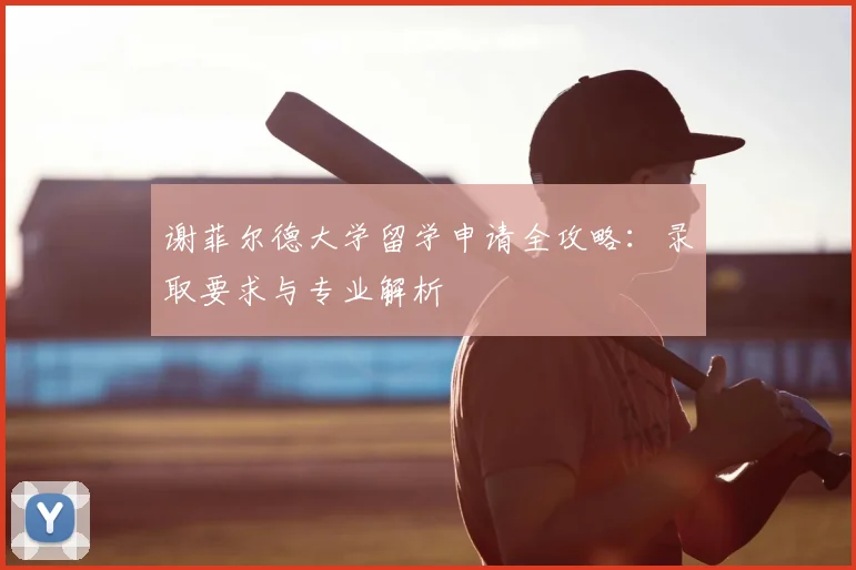 谢菲尔德大学留学申请全攻略：录取要求与专业解析