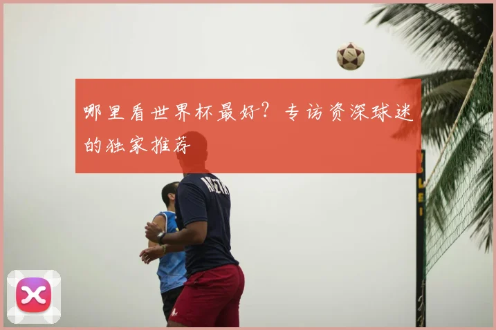 哪里看世界杯最好？专访资深球迷的独家推荐