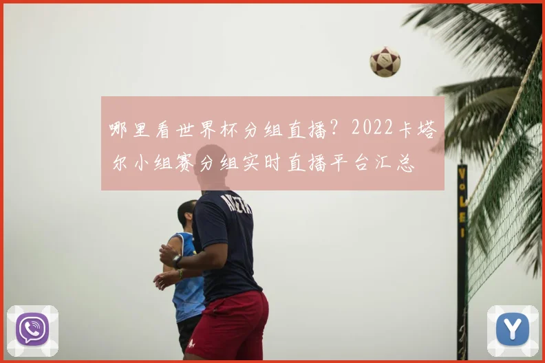 哪里看世界杯分组直播？2022卡塔尔小组赛分组实时直播平台汇总